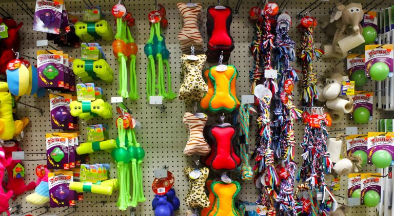 pet-food-and-toys