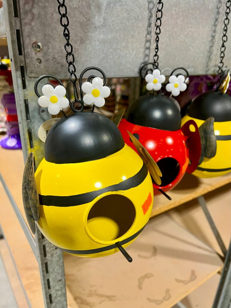 Lawn and garden-IMG_0103