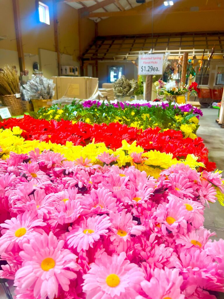 Lawn and garden-IMG_0850