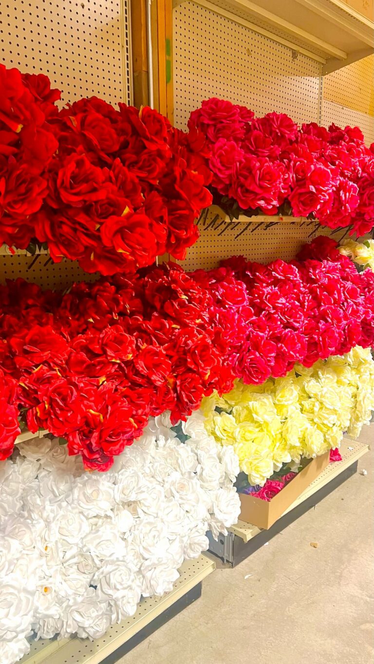 Lawn and garden-IMG_0853