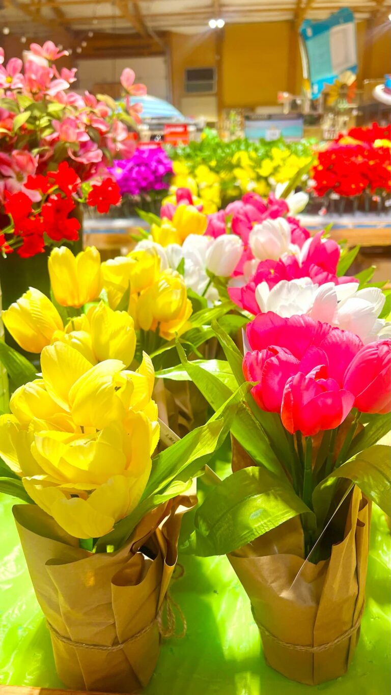 Lawn and garden-IMG_0854