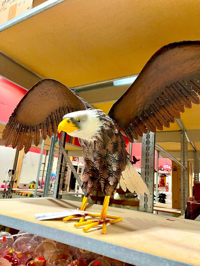 Lawn and garden-IMG_0886