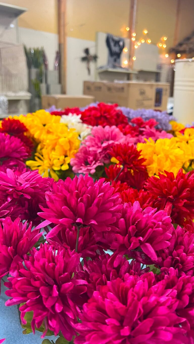 Lawn and garden-IMG_1085