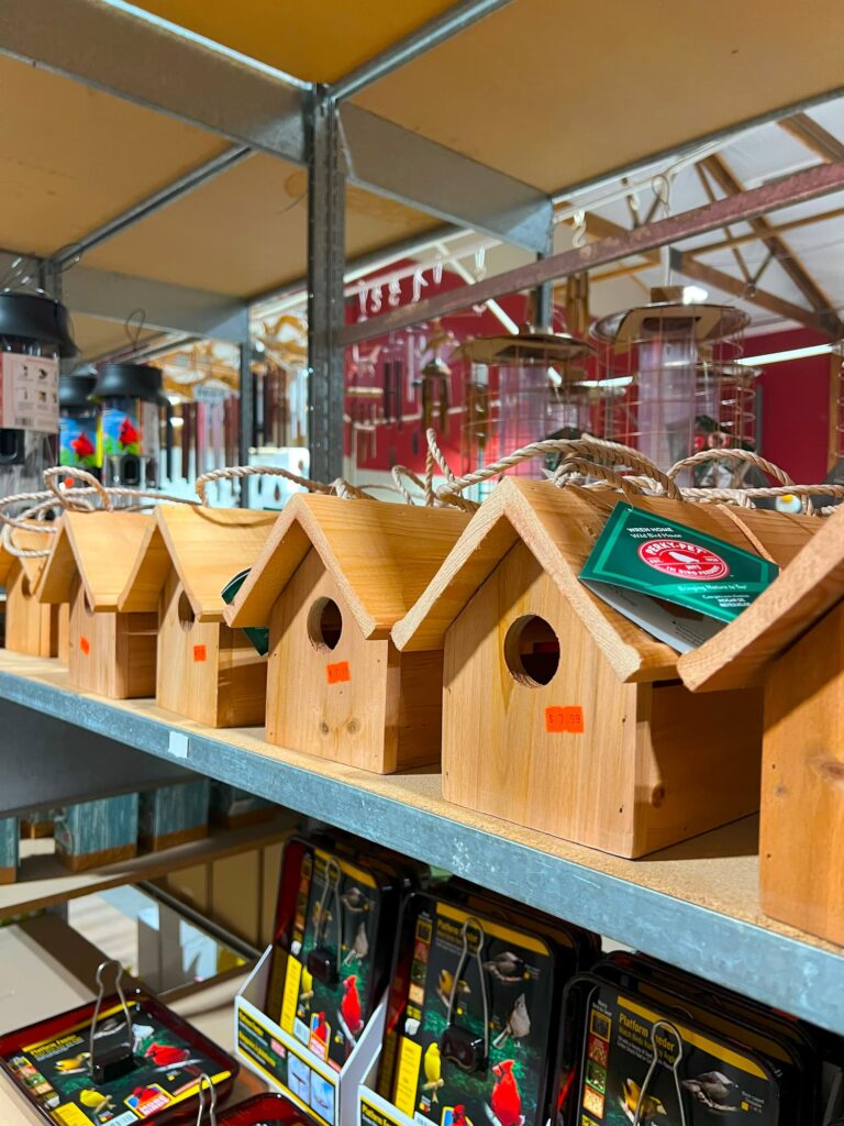 Lawn and garden-IMG_1291