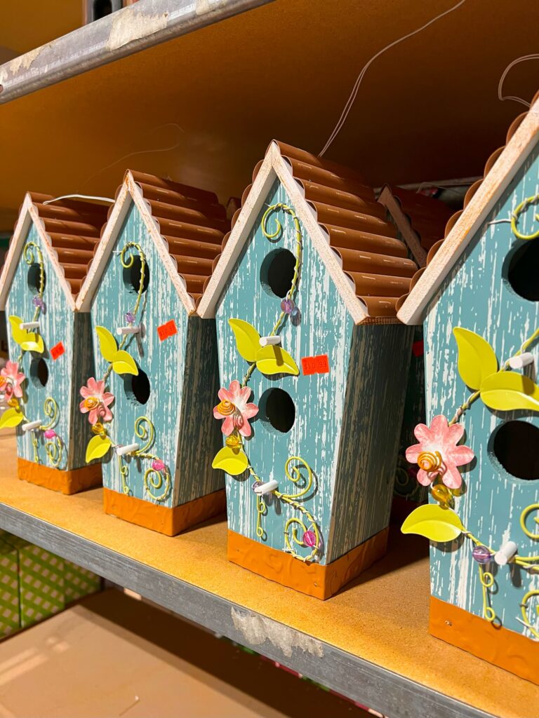 Lawn and garden-IMG_1294