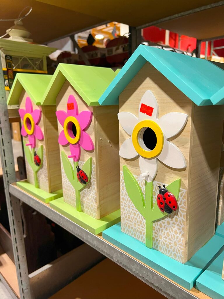 Lawn and garden-IMG_1296