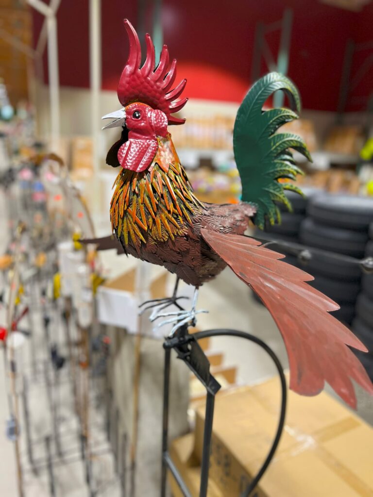 Lawn and garden-IMG_1311