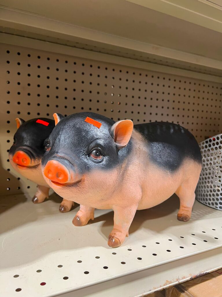 Lawn and garden-IMG_1346