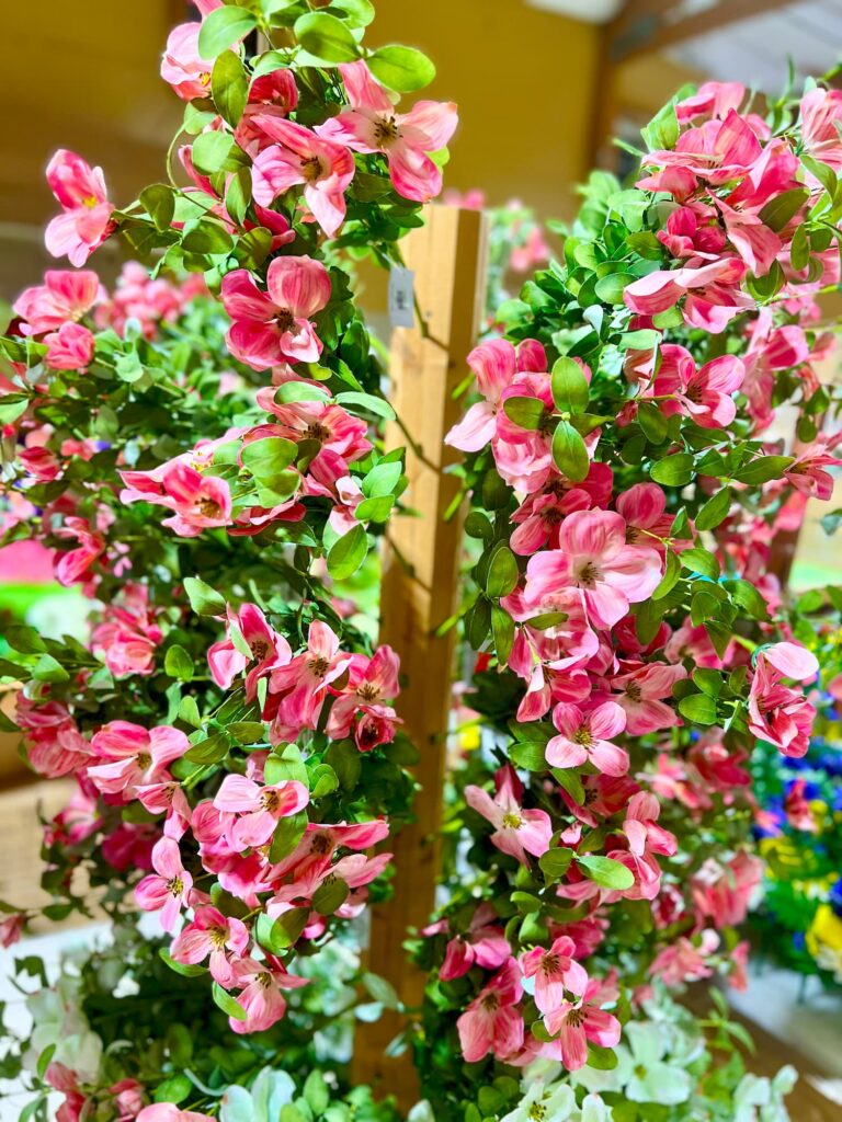 Lawn and garden-IMG_9490