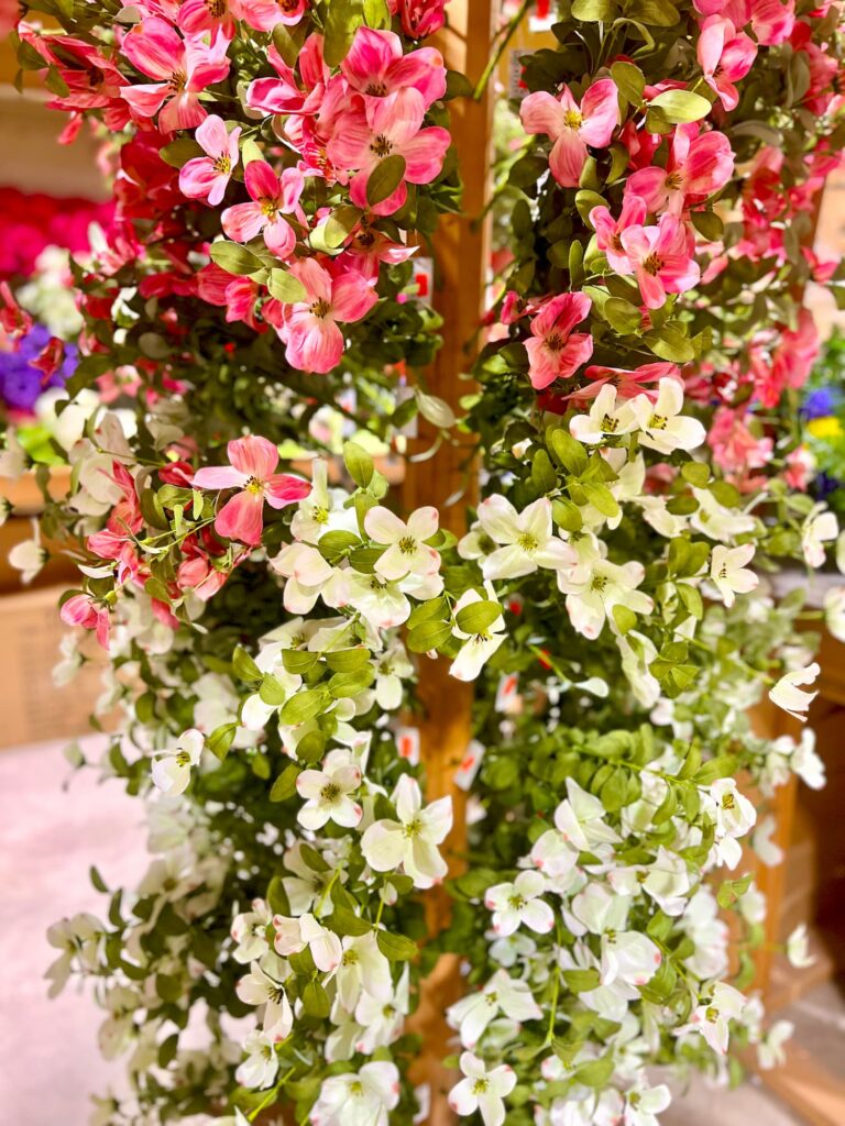 Lawn and garden-IMG_9491