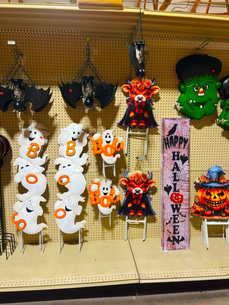 Seasonal-holidays-IMG_1474