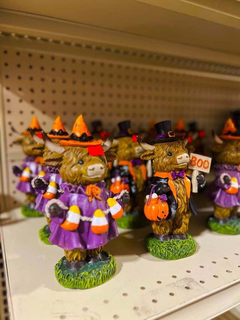 Seasonal-holidays-IMG_1475