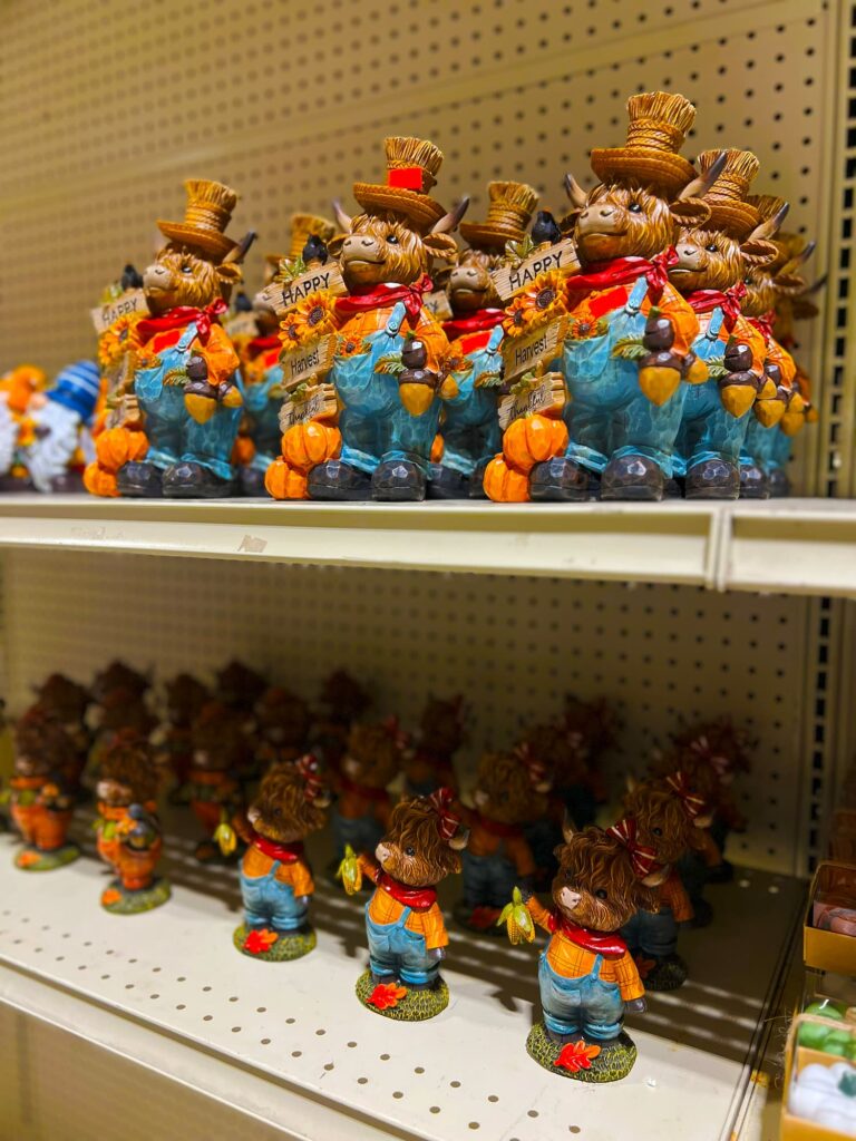 Seasonal-holidays-IMG_1476