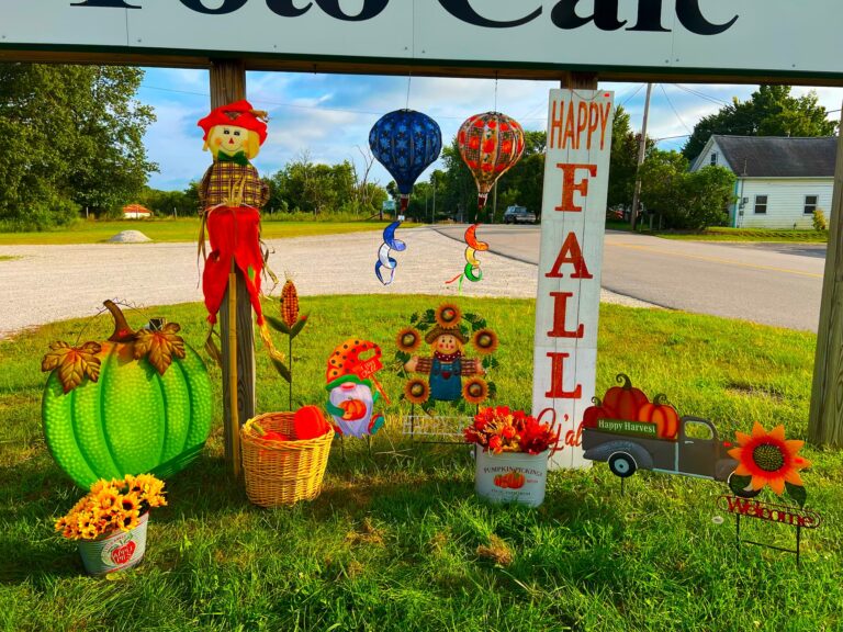 Seasonal-holidays-IMG_2879