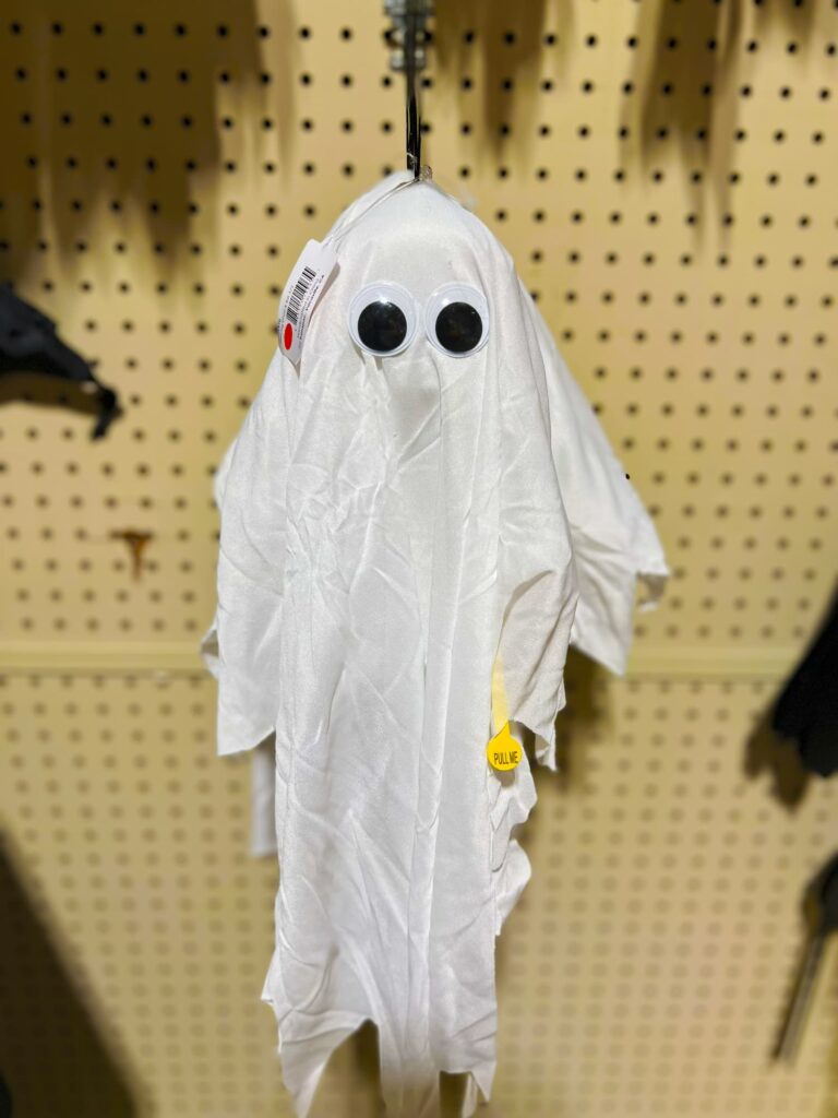 Seasonal-holidays-IMG_6612