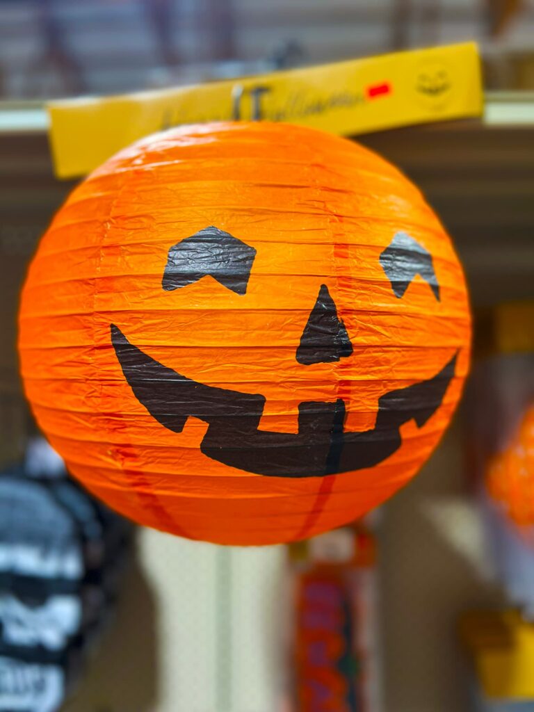 Seasonal-holidays-IMG_6613