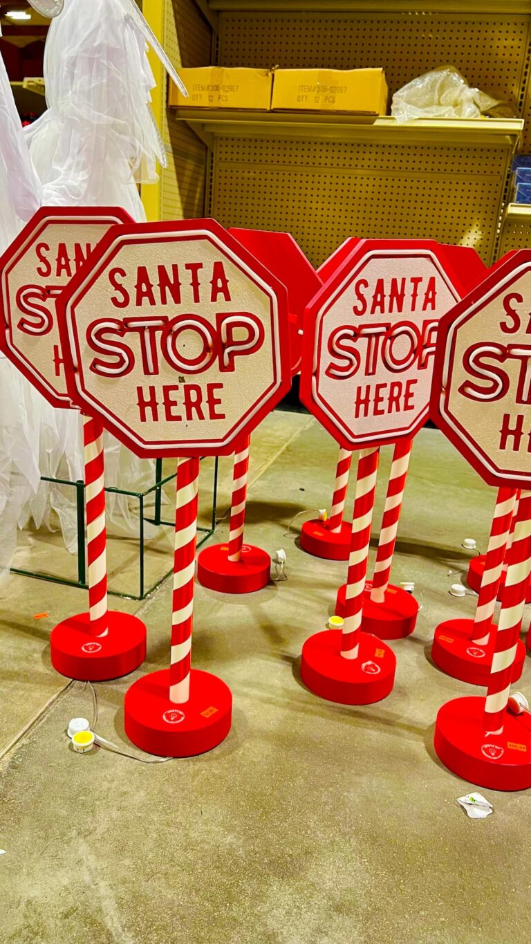 Seasonal-holidays-IMG_6909