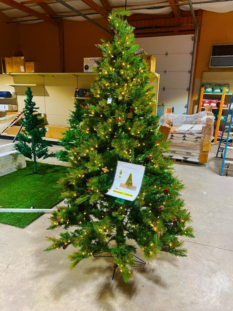 Seasonal-holidays-IMG_7180