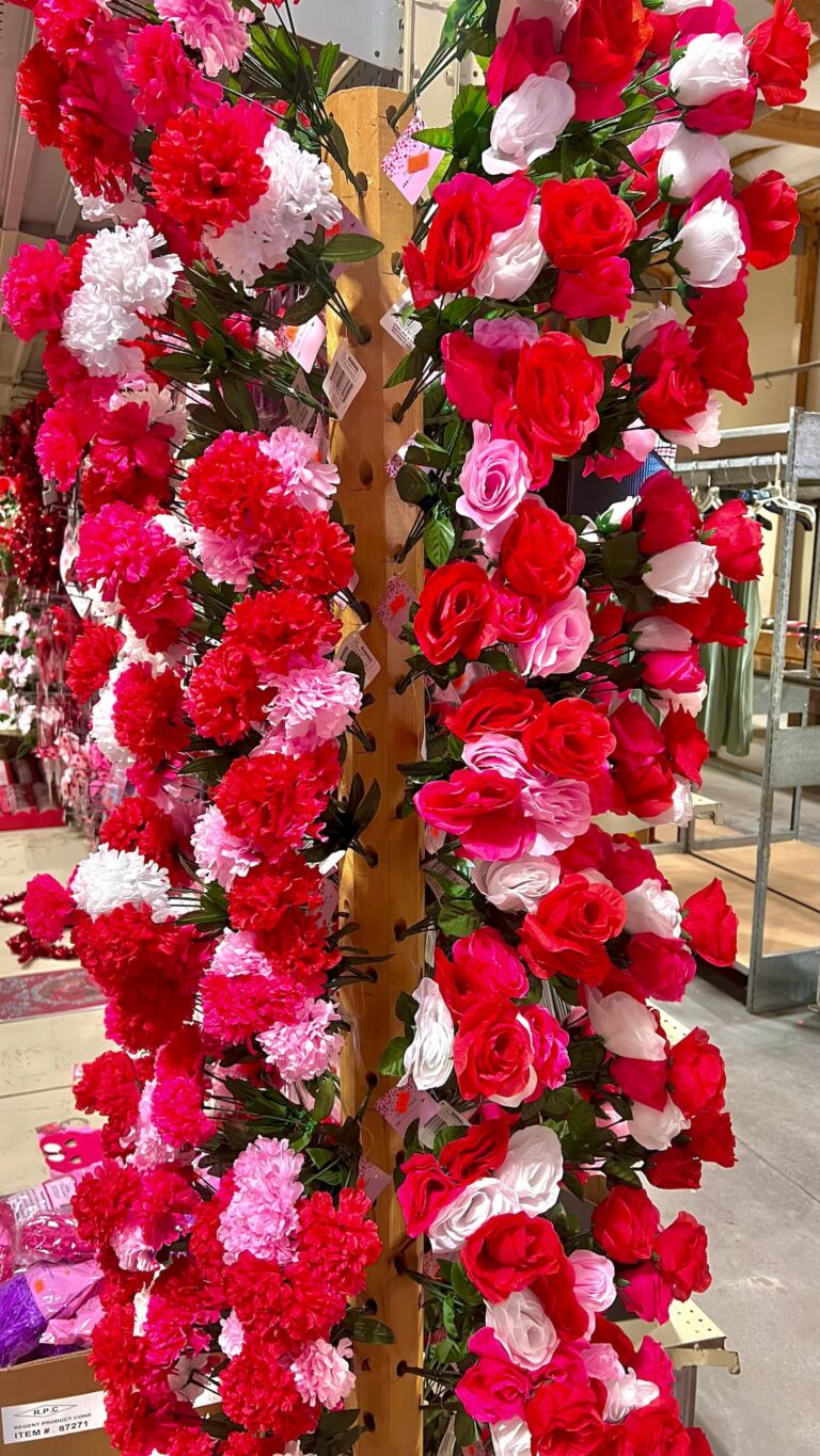 Seasonal-holidays-IMG_8804