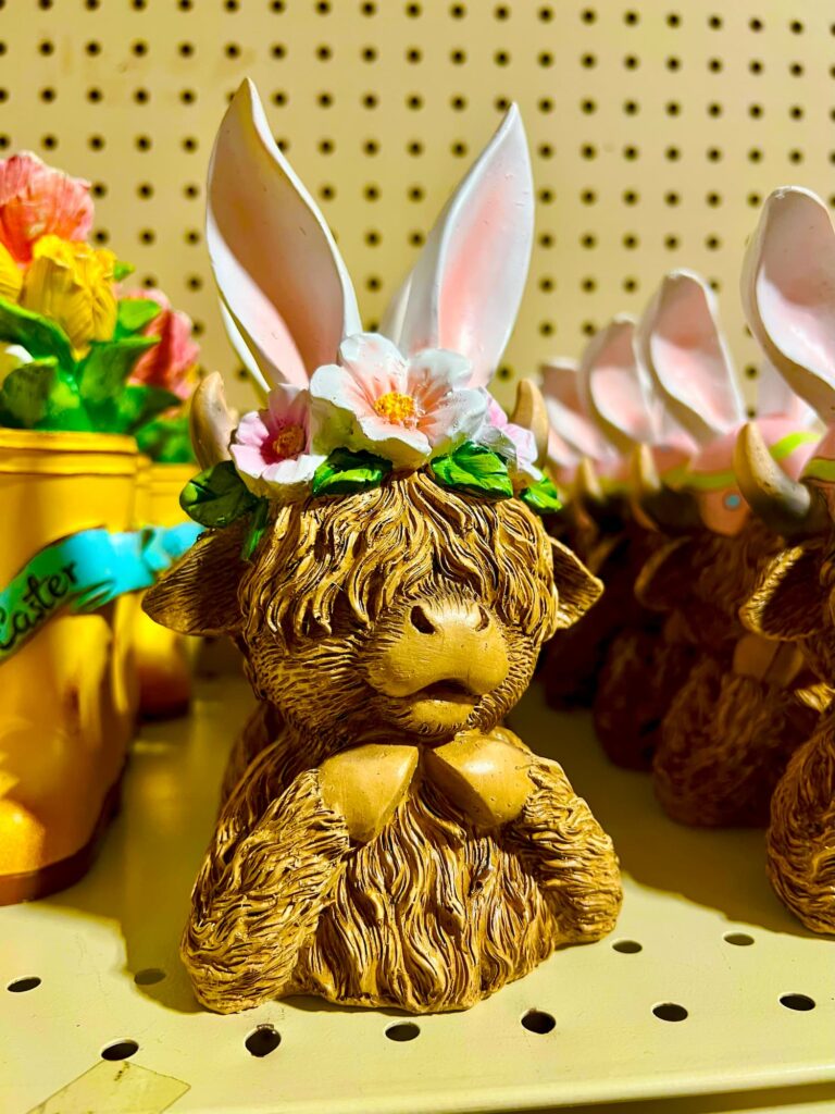 Seasonal-holidays-IMG_9166