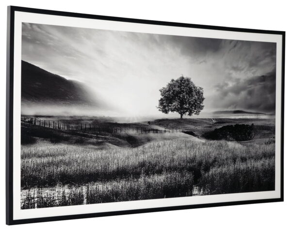Deborland - Black / White - Wall Art - Image 2