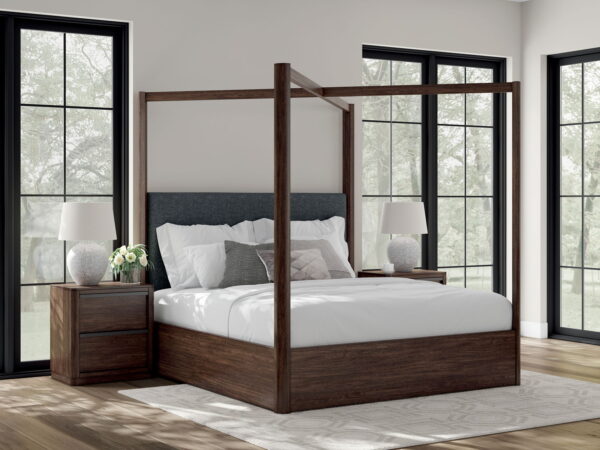 Dilenno - Canopy Bed - Image 5