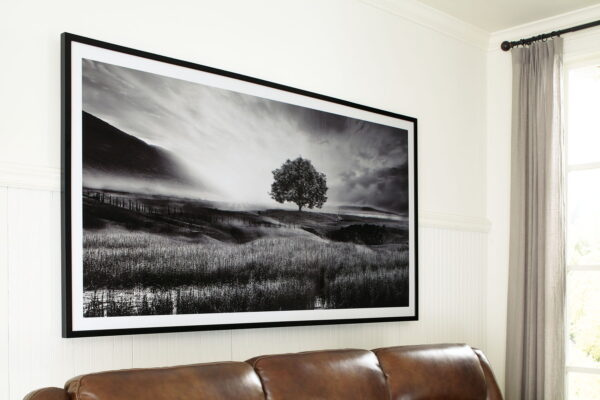 Deborland - Black / White - Wall Art - Image 4
