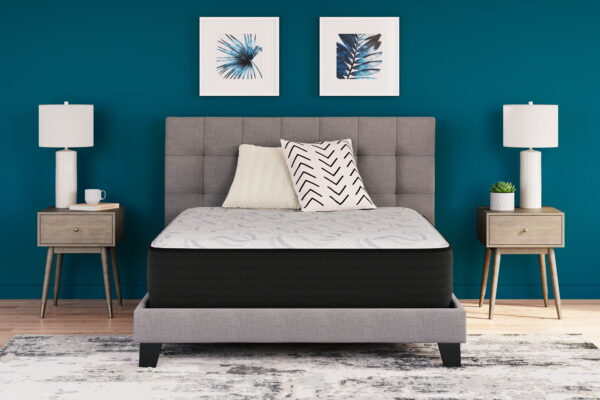 Elite Springs Firm - Mattress - Image 6