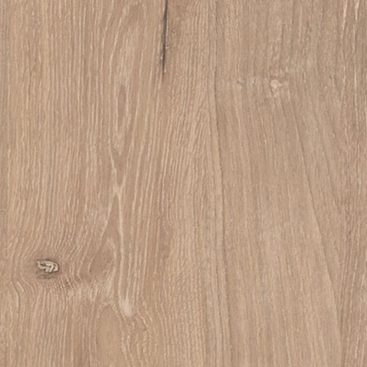 Cielden - Two-Tone - Panel Headboard - Image 8