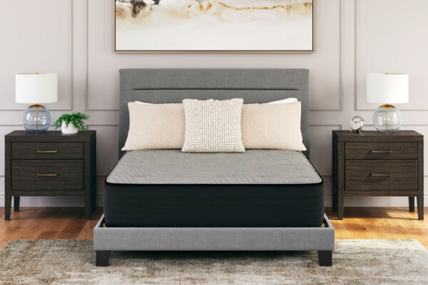 Palisades Firm - Mattress - Image 6