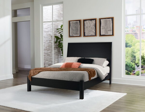 Danziar - Panel Bed With Low Footboard - Image 6
