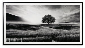 Deborland - Wall Art - Black / White