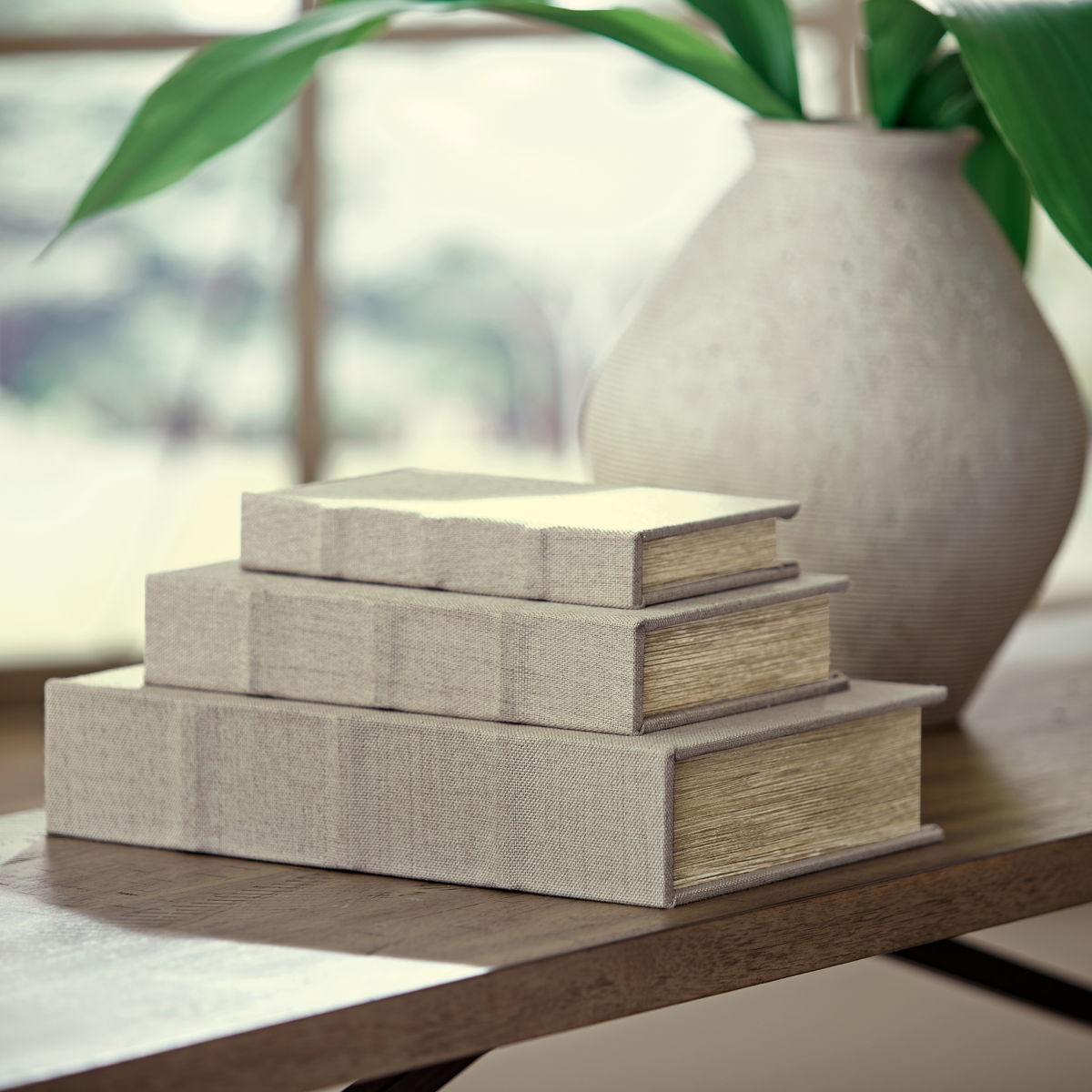 Jolina - Box Set - Image 9